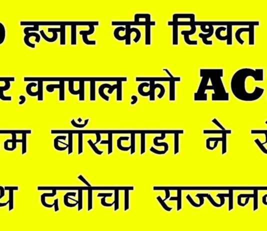 20 हजार Rs.की रिश्वत लेते रेंजर शांति लाल चावला व् वनपाल लाडजी गरासिया को ACB टीम ने दबोचा renjar vanpal 23.8.25