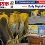 सज्जनगढ़ पुलिस की बड़ी कार्रवाई: गोवंश तस्करी के आरोप में वालाराम मीणा गिरफ्तार, पिकअप वाहन जब्त |सज्जनगढ़ थाना पुलिस Banswara गोवंश तस्करी