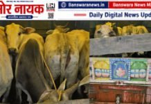 सज्जनगढ़ पुलिस की बड़ी कार्रवाई: गोवंश तस्करी के आरोप में वालाराम मीणा गिरफ्तार, पिकअप वाहन जब्त |सज्जनगढ़ थाना पुलिस Banswara गोवंश तस्करी