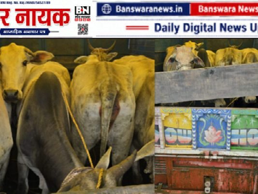 सज्जनगढ़ पुलिस की बड़ी कार्रवाई: गोवंश तस्करी के आरोप में वालाराम मीणा गिरफ्तार, पिकअप वाहन जब्त |सज्जनगढ़ थाना पुलिस Banswara गोवंश तस्करी