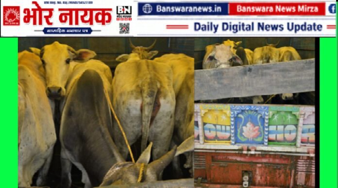 गोवंश तस्करी